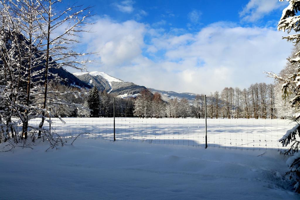Appartements Prielau By We Rent, Summercard Included Zell am See Zewnętrze zdjęcie